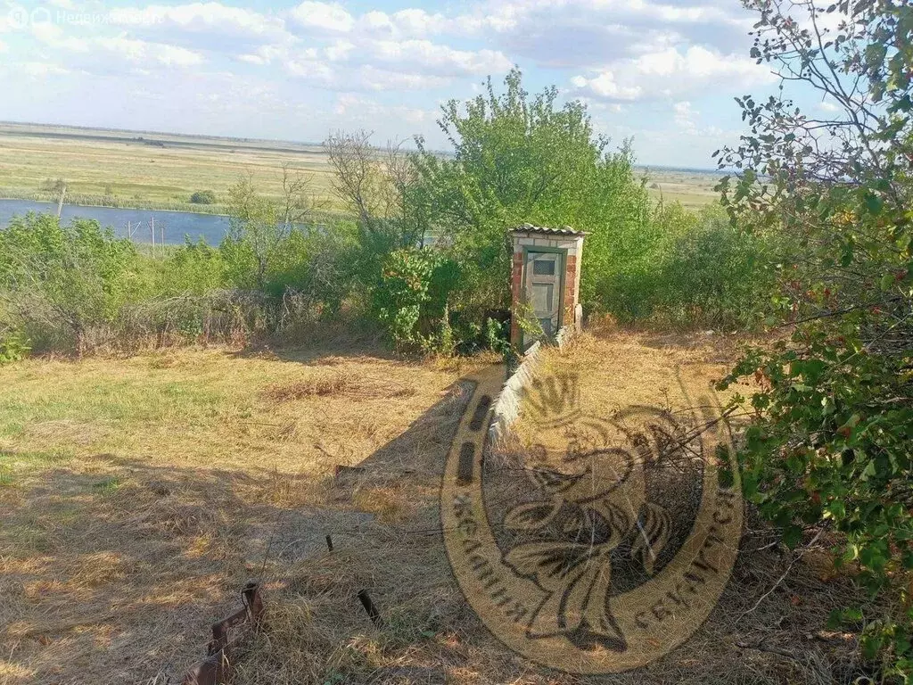 Участок в Мишкинское сельское поселение, садоводческое товарищество ... - Фото 1