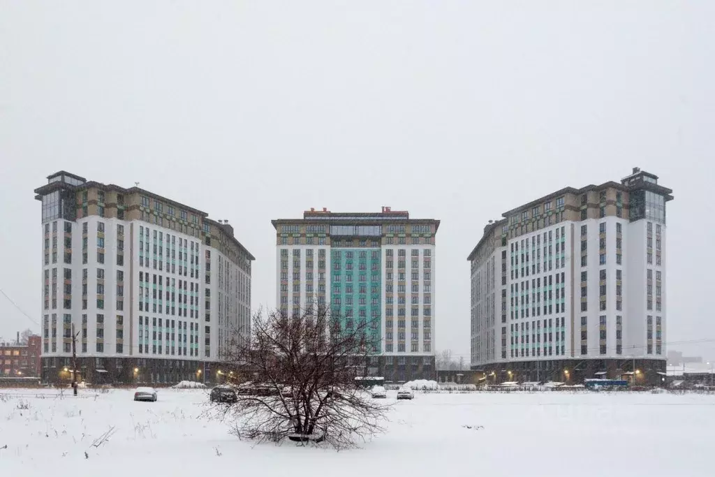1-к кв. Санкт-Петербург Варфоломеевская ул., 6 (25.0 м) - Фото 1