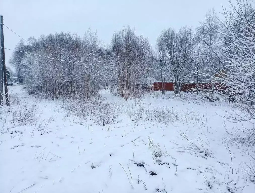 Участок в Камчатский край, Елизовский муниципальный округ, с. Коряки ... - Фото 1