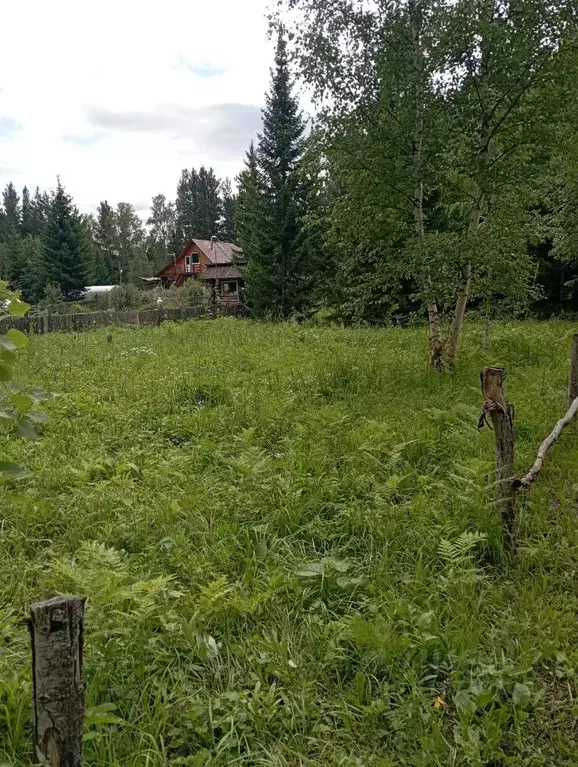 Участок в Красноярский край, Емельяновский район, Элитовский ... - Фото 0