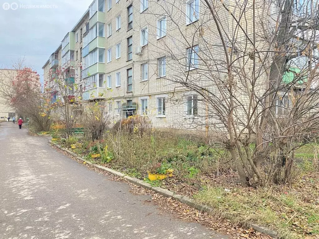 3-комнатная квартира: Скопин, Фабричная улица, 2 (50.3 м) - Фото 1