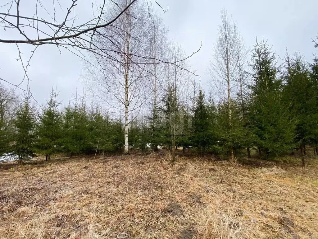 Участок в Вологодская область, д. Лучниково  (30.0 сот.) - Фото 2