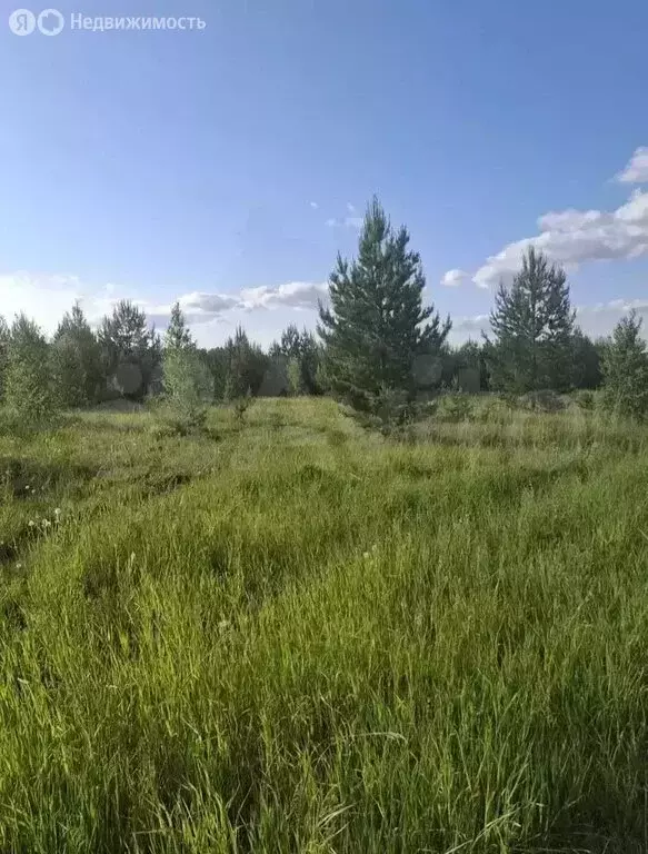 Участок в Свердловская область, городской округ Верхняя Пышма, село ... - Фото 1