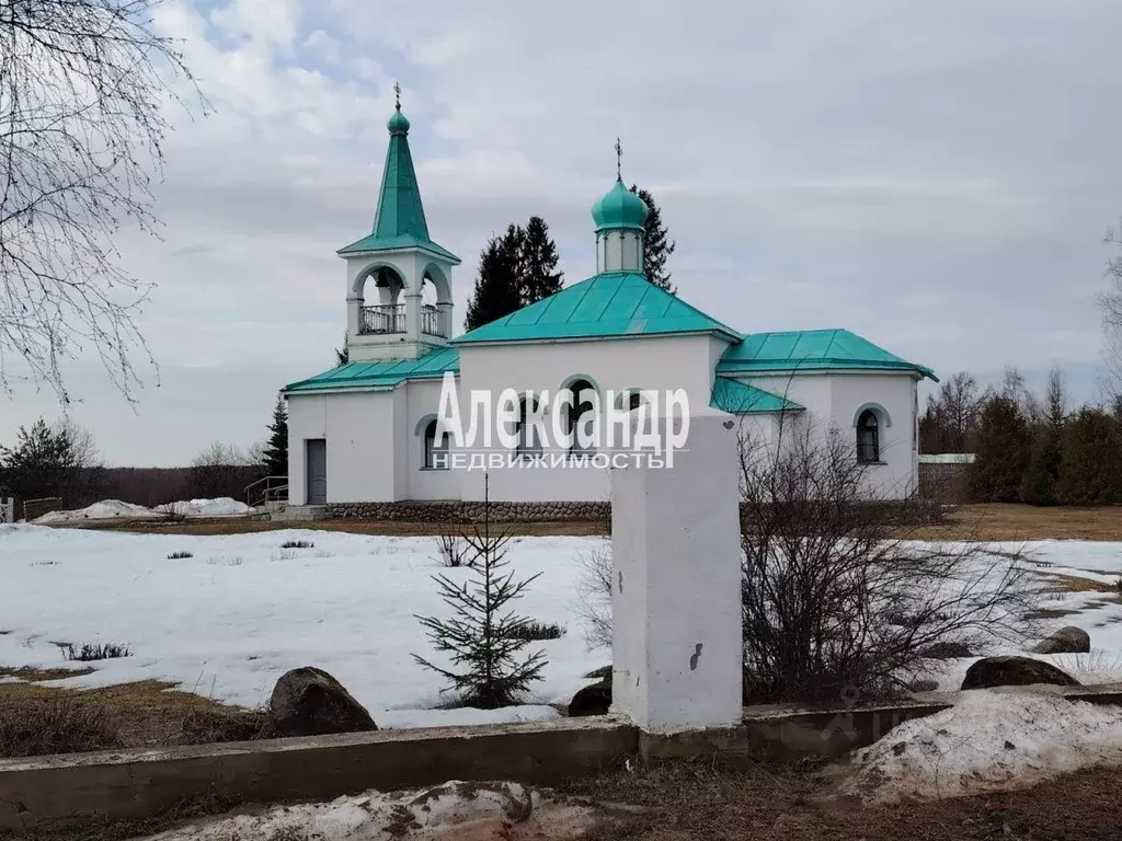 Участок в Ленинградская область, Лодейнопольский район, Алеховщинское ... - Фото 1