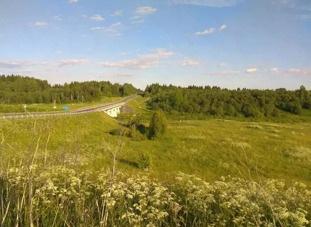 Участок в Ярославская область, Ярославский район, Кузнечихинское ... - Фото 1