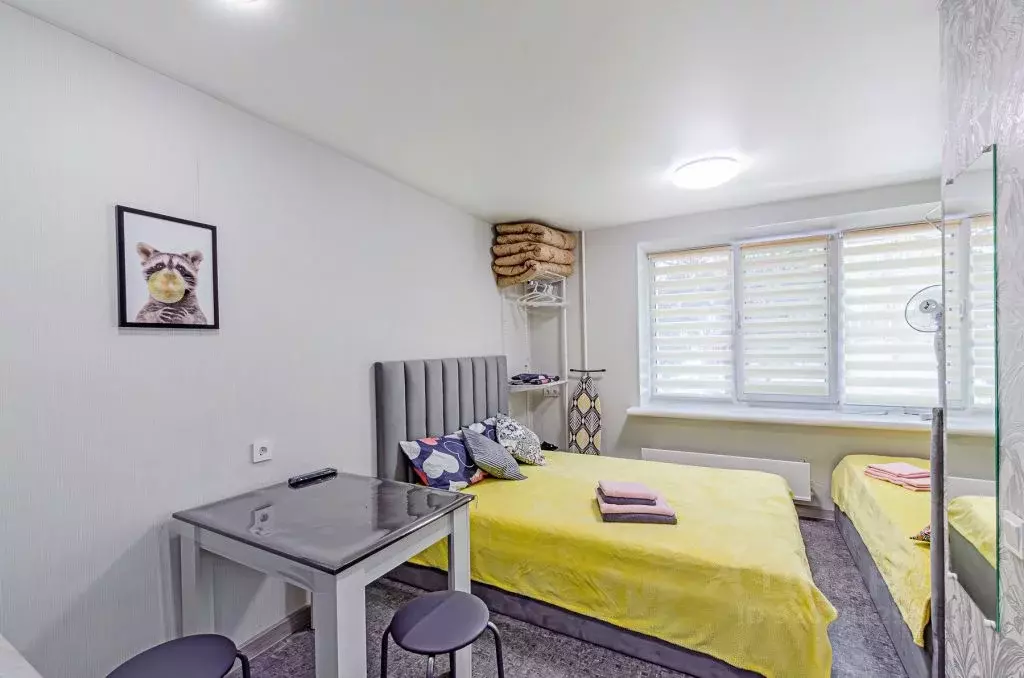 1-к кв. Татарстан, Казань ул. Фатыха Карима, 26 (17.0 м) - Фото 1