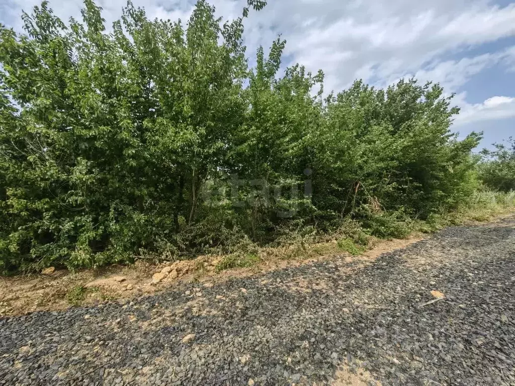 Участок в Ростовская область, Родионово-Несветайский район, ... - Фото 1