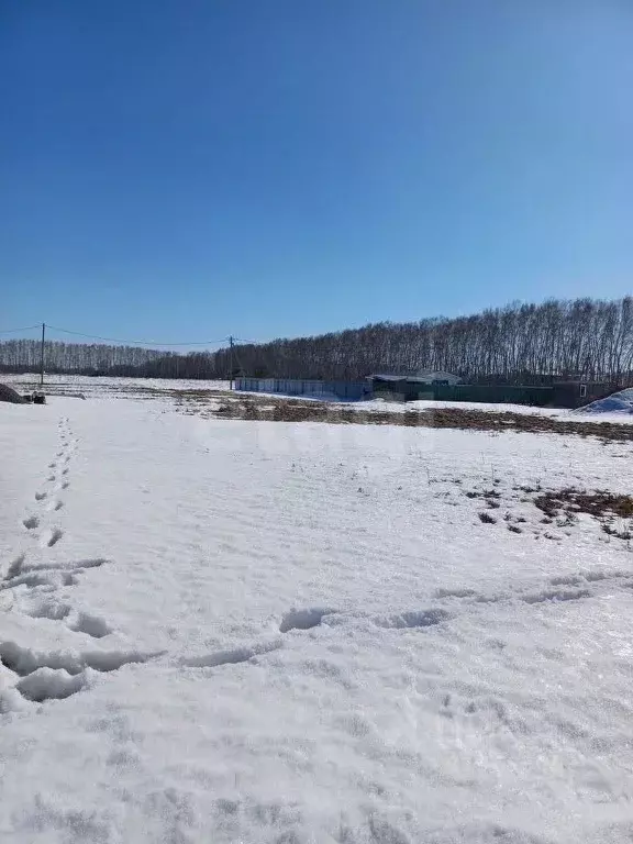Участок в Омская область, Омский район, с. Усть-Заостровка Заозерная ... - Фото 0