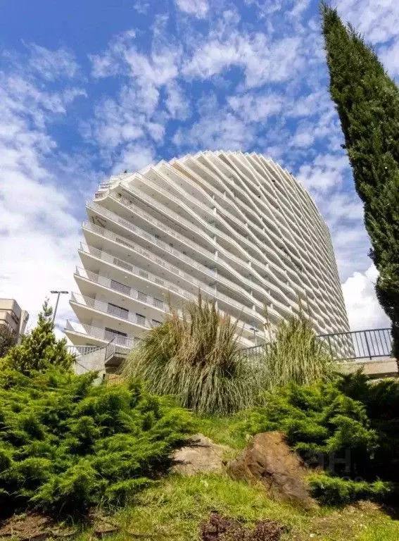 1-к кв. Краснодарский край, Сочи Курортный просп., 105 (110.0 м) - Фото 2