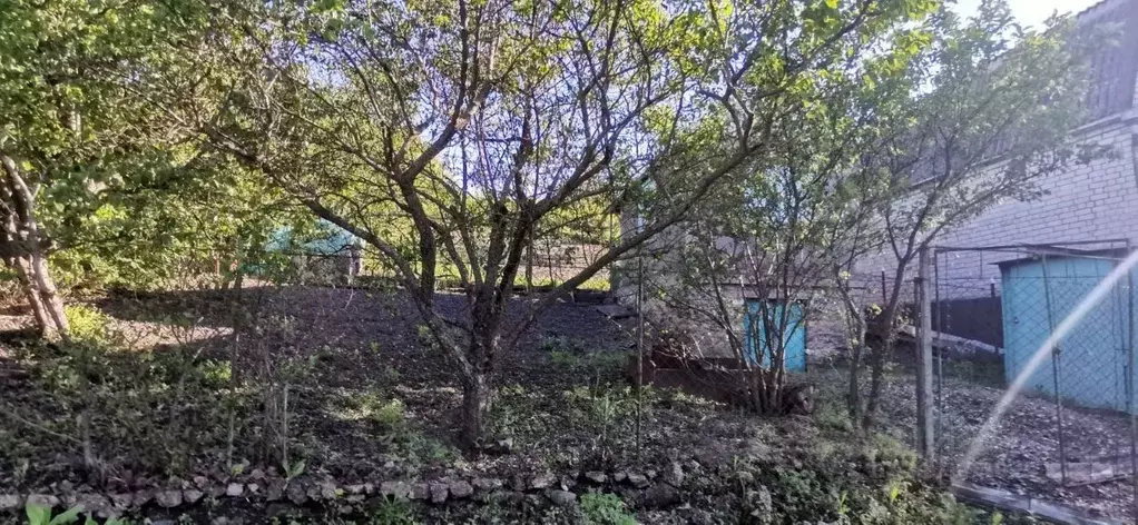 Участок в Ставропольский край, Предгорный муниципальный округ, Ягодка ... - Фото 1