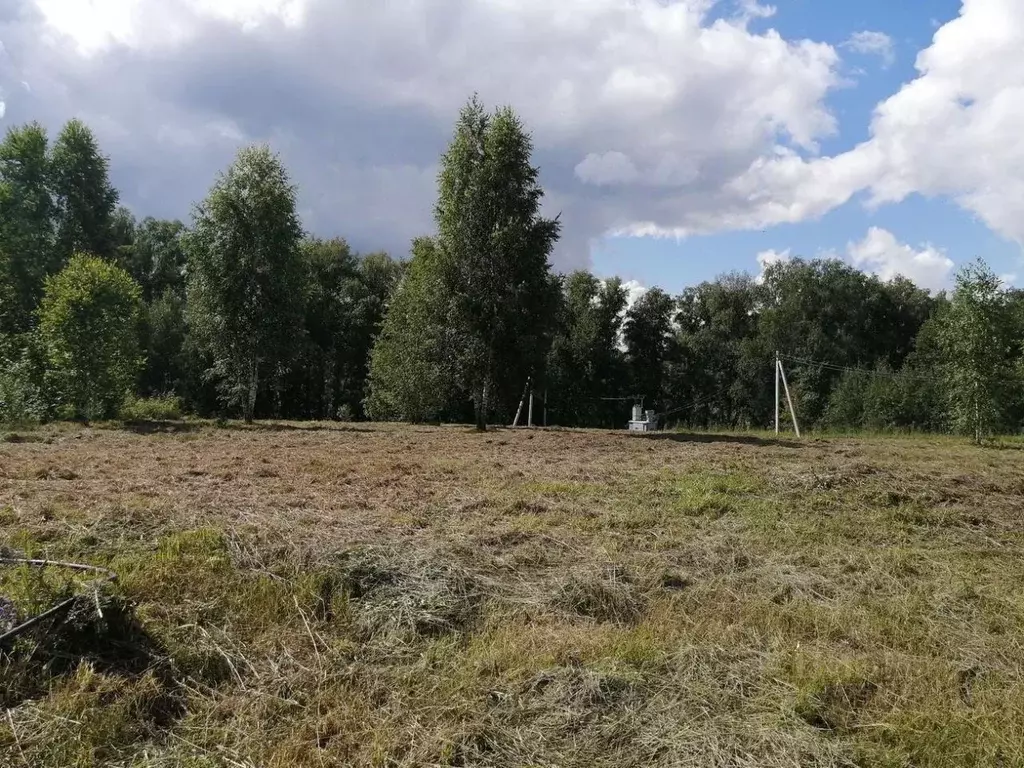 Участок в Новосибирская область, Искитимский район, Морозовский ... - Фото 2