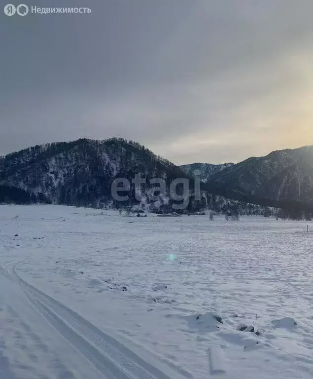 Участок в Чемальский район, село Аюла (284 м) - Фото 1