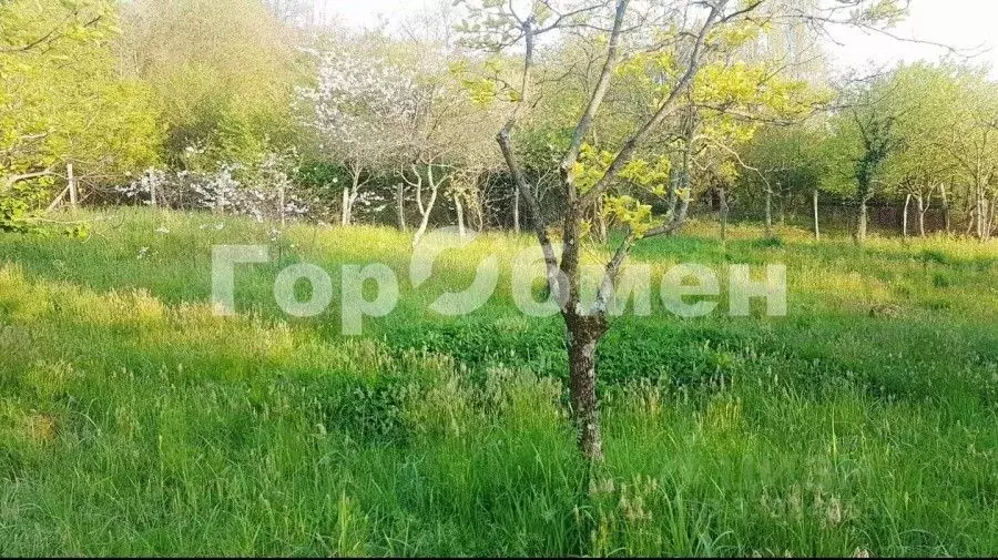 Участок в Краснодарский край, Сочи городской округ, с. Черешня ул. ... - Фото 1