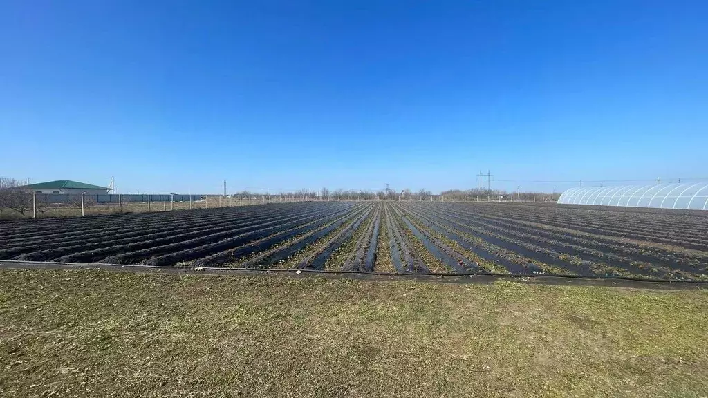 Участок в Крым, Кировский район, Журавское с/пос, с. Тутовка ул. Бахт, ... - Фото 1