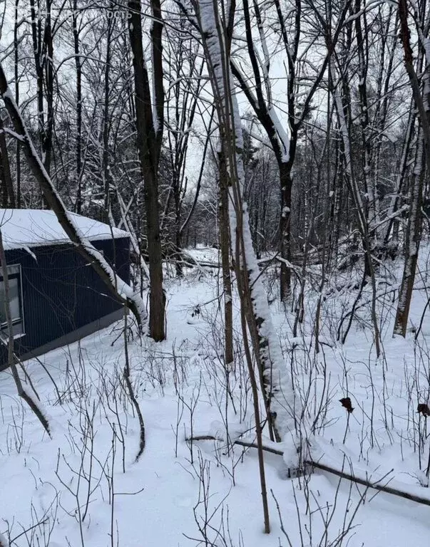 Участок в Московская область, муниципальный округ Истра, деревня ... - Фото 1