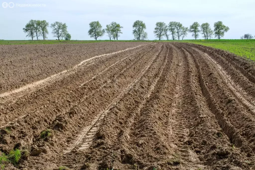Участок в Тульская область, городской округ Алексин, деревня Ступино ... - Фото 2