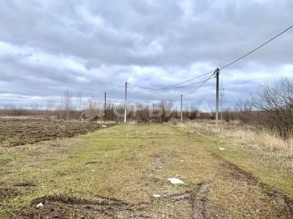 Участок в Тюменская область, Тюменский муниципальный округ, Горячий ... - Фото 1