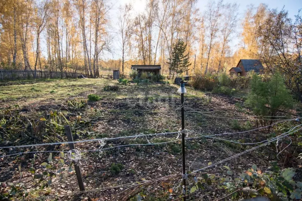 Участок в Новосибирская область, Бердск Ветеран садовое товарищество, ... - Фото 0