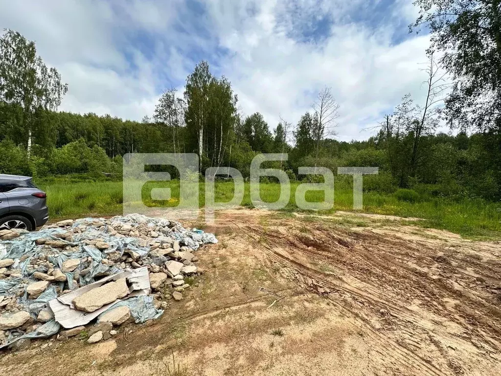 Участок в Костромская область, Красносельский район, Боровиковское ... - Фото 1