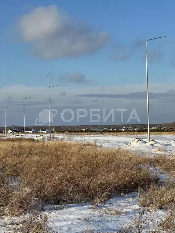 Участок в Тюменская область, Тюменский район, Новокаменский кп ул. ... - Фото 1