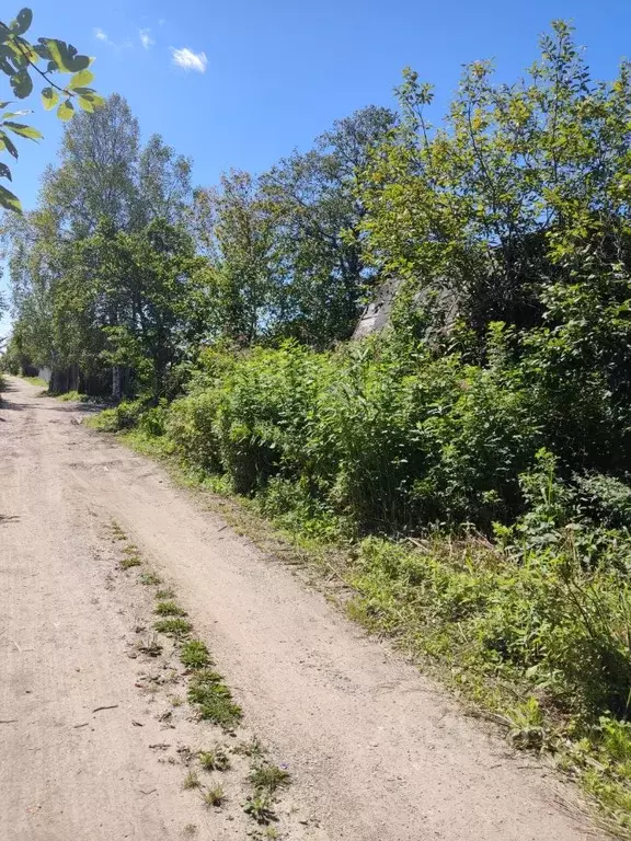 Участок в Сахалинская область, Анивский городской округ, с. Троицкое, ... - Фото 1