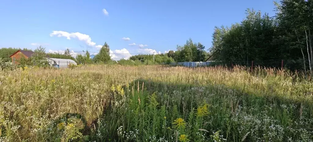 Участок в Московская область, Ступино городской округ, Нефедьево-2 СНТ ... - Фото 2