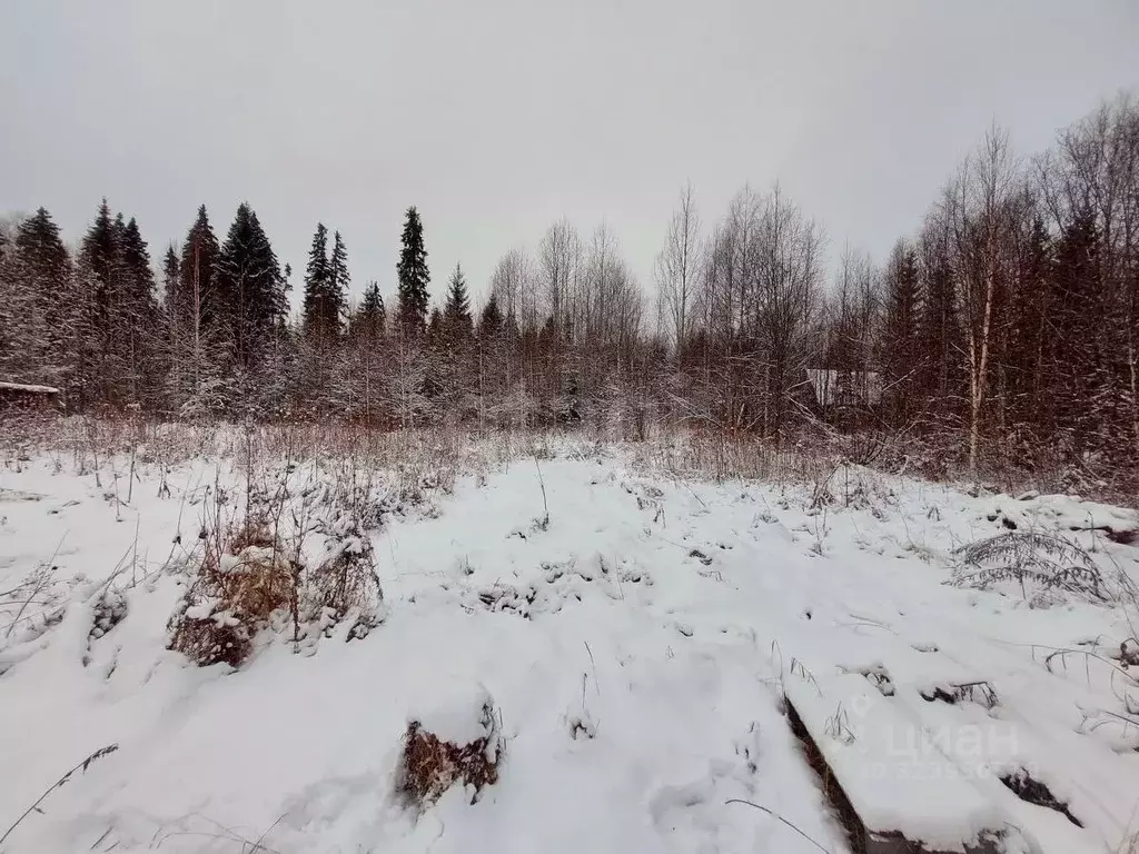 Дом в Коми, Сыктывдинский район, Выльгорт муниципальное образование, ... - Фото 1