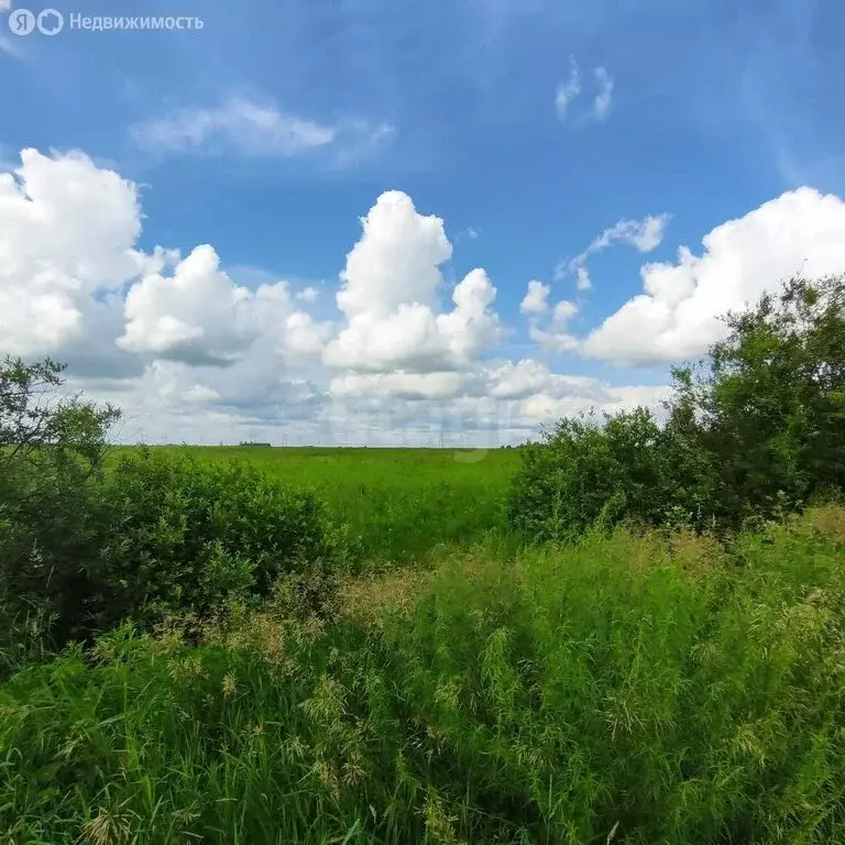 Участок в Тюмень, Ленинский округ (74120 м) - Фото 2