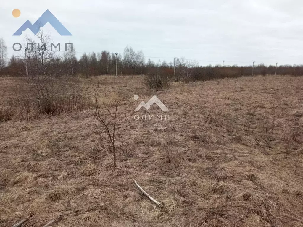 Участок в Ярославская область, Ярославский муниципальный округ, Новые ... - Фото 1