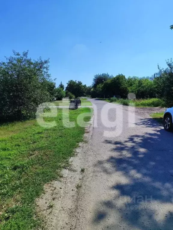 Участок в Белгородская область, Вейделевский район, с. Николаевка  ... - Фото 2