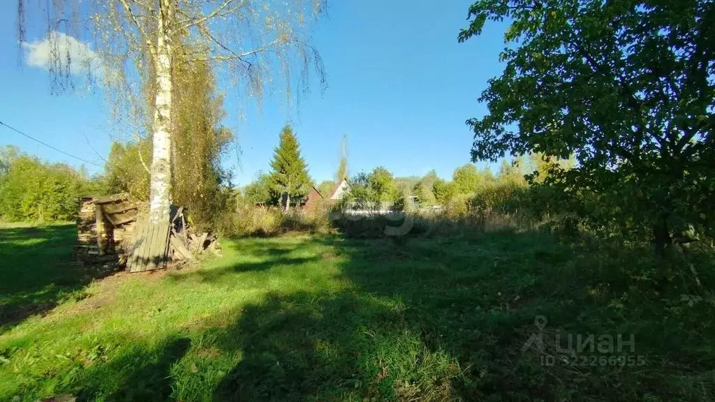 Участок в Ленинградская область, Киришский район, Будогощское ... - Фото 1