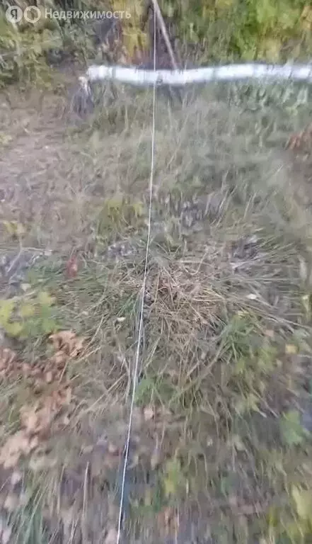 Участок в Пензенская область, Сердобск (15 м) - Фото 2