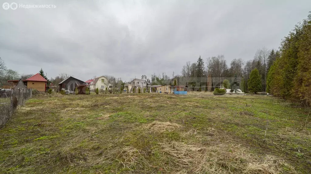Участок в Наро-Фоминский городской округ, садовое товарищество ... - Фото 2