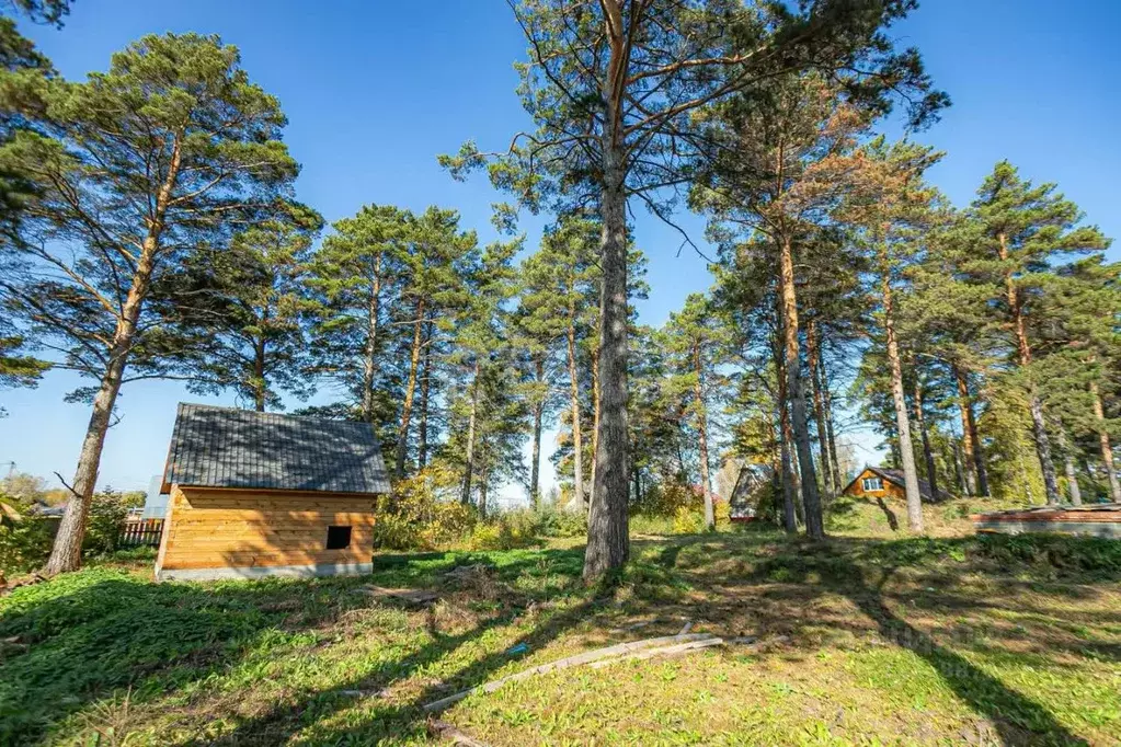 Участок в Новосибирская область, Искитимский район, с. Тальменка ул. ... - Фото 1