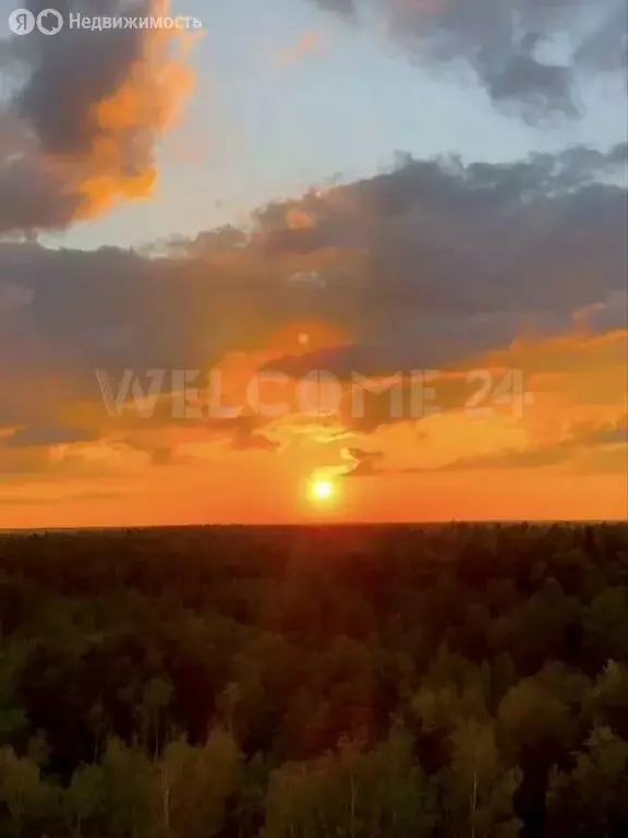 3-комнатная квартира: Ногинск, улица Ильича, 79 (64.3 м) - Фото 1