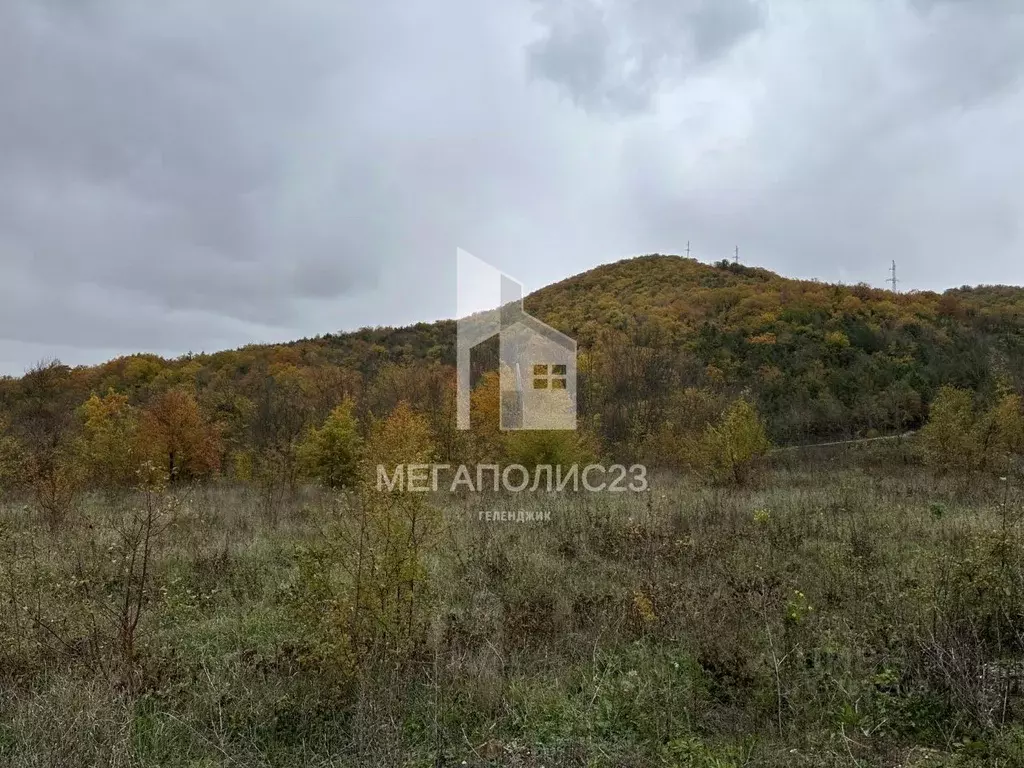 Участок в Краснодарский край, Геленджик городской округ, с. Береговое ... - Фото 1