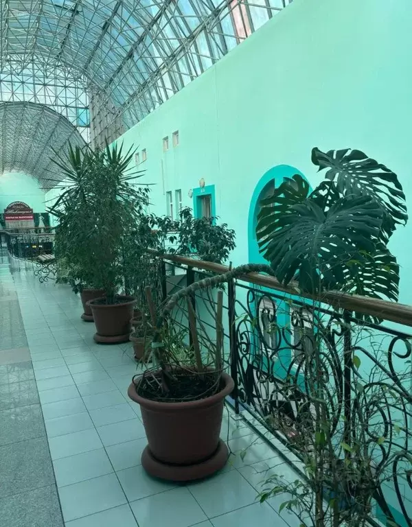 Помещение свободного назначения в Амурская область, Благовещенск ул. ... - Фото 2