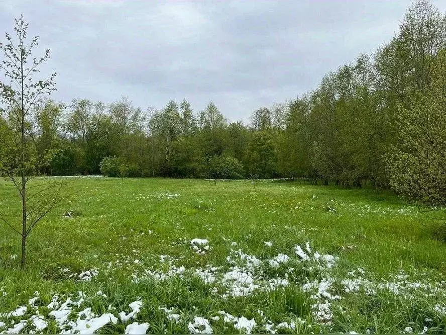 Участок в Московская область, Щелково городской округ, Добрый кв-л ул. ... - Фото 1