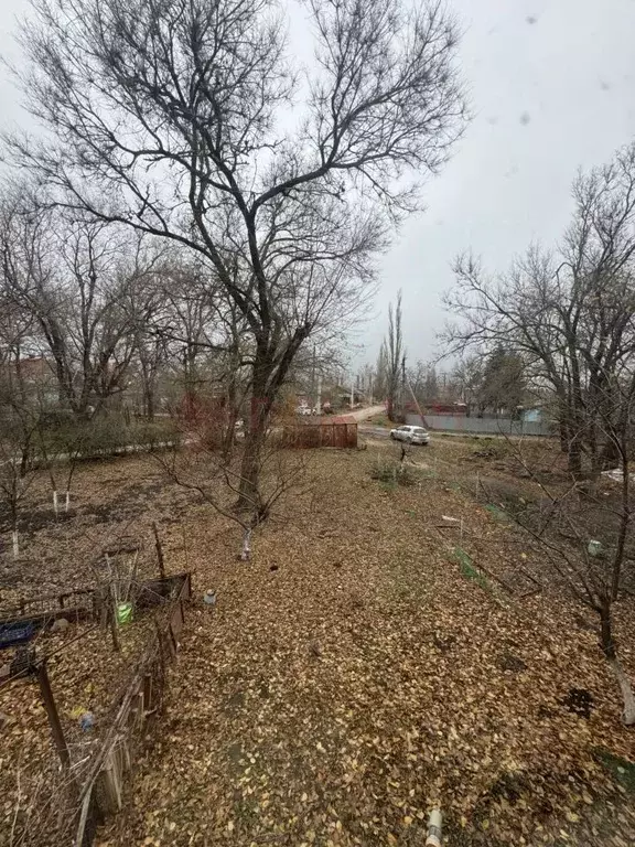 Участок в Ростовская область, Новочеркасск № 2 АО Магнит садовое ... - Фото 1
