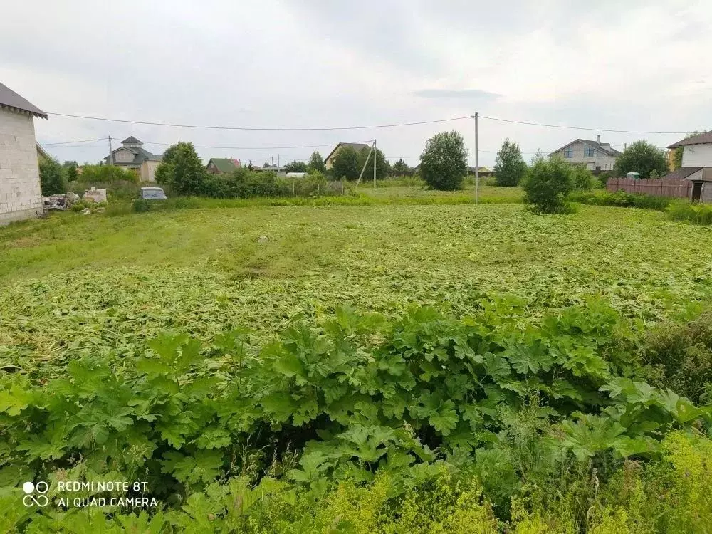 Участок в Ленинградская область, Гатчинский муниципальный округ, ... - Фото 2