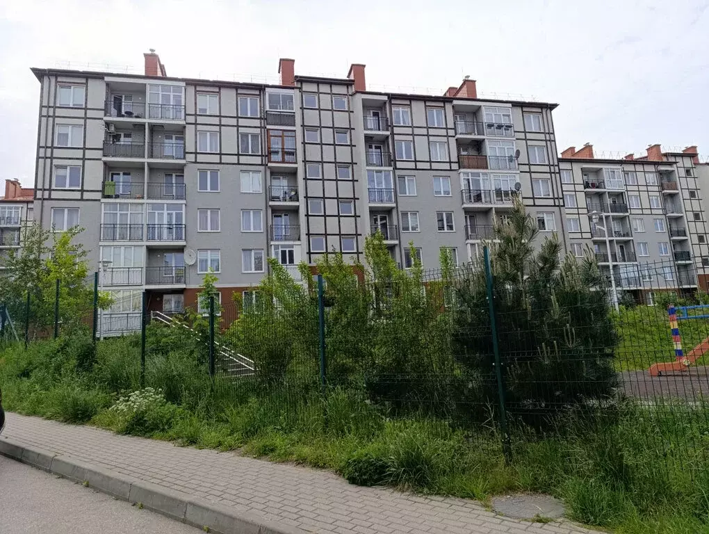 1-комнатная квартира: Светлогорск, Тихая улица, 8 (24.1 м) - Фото 1