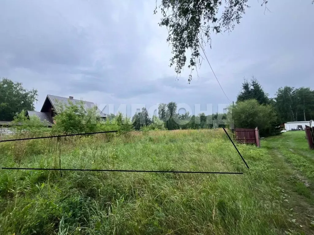 Участок в Новосибирская область, Новосибирский район, с. Боровое ул. ... - Фото 1