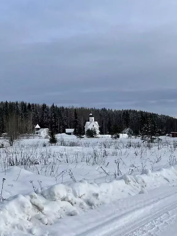 Участок в Ленинградская область, Выборгский район, Селезневское с/пос, ... - Фото 1