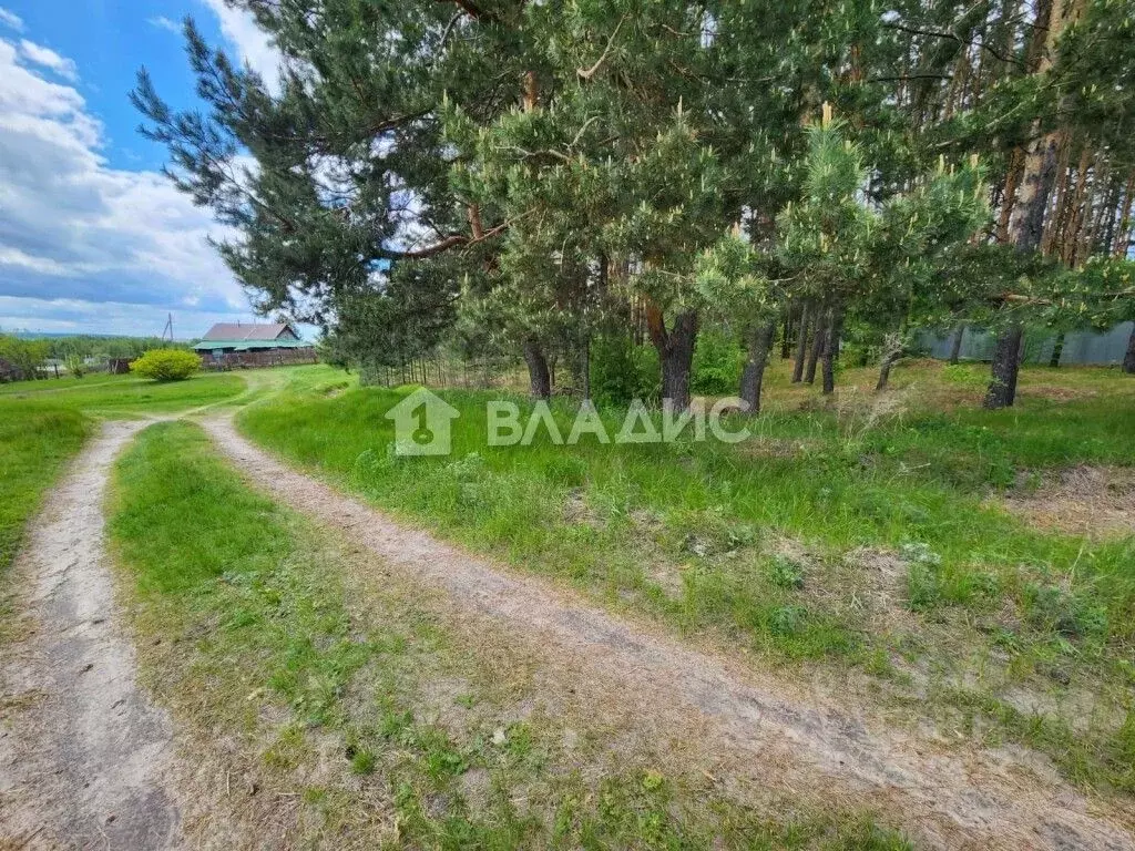 Участок в Пензенская область, Пензенский район, Засечный сельсовет, ... - Фото 2