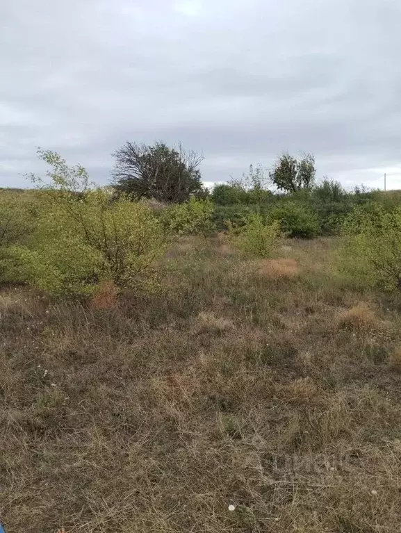 Участок в Ставропольский край, Ставрополь Зори Кавказа садовое ... - Фото 0