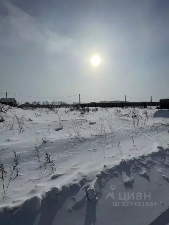 Участок в Омская область, Омский район муниципальный округ, Деревня ... - Фото 2