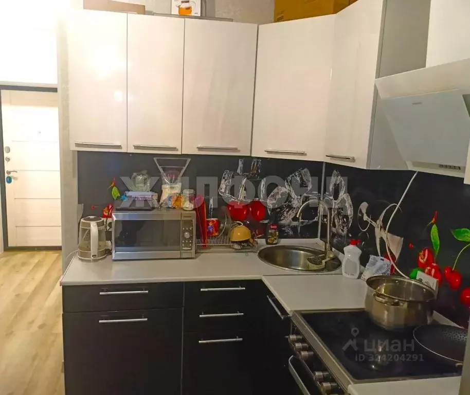 1-к кв. Новосибирская область, Новосибирск Дивногорский мкр, ул. ... - Фото 2