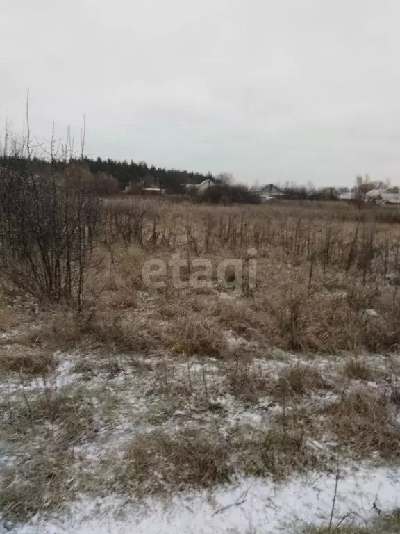 Участок в Белгородская область, Валуйки Локомотивная ул. (12.5 сот.) - Фото 1