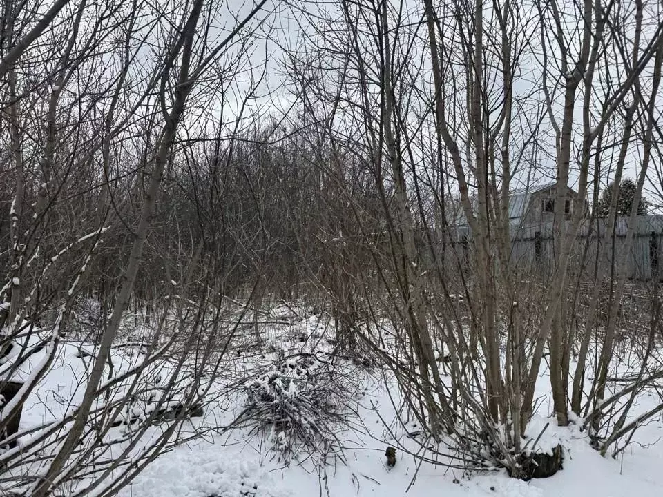 Участок в Московская область, Кашира ул. Моргунова (12.6 сот.) - Фото 1