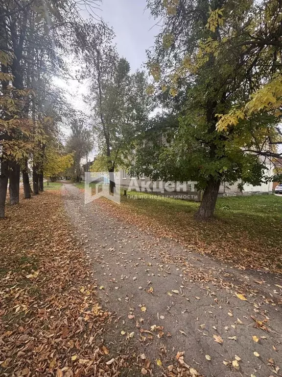 2-к кв. Ивановская область, Иваново ул. Фрунзе, 87 (43.0 м) - Фото 2